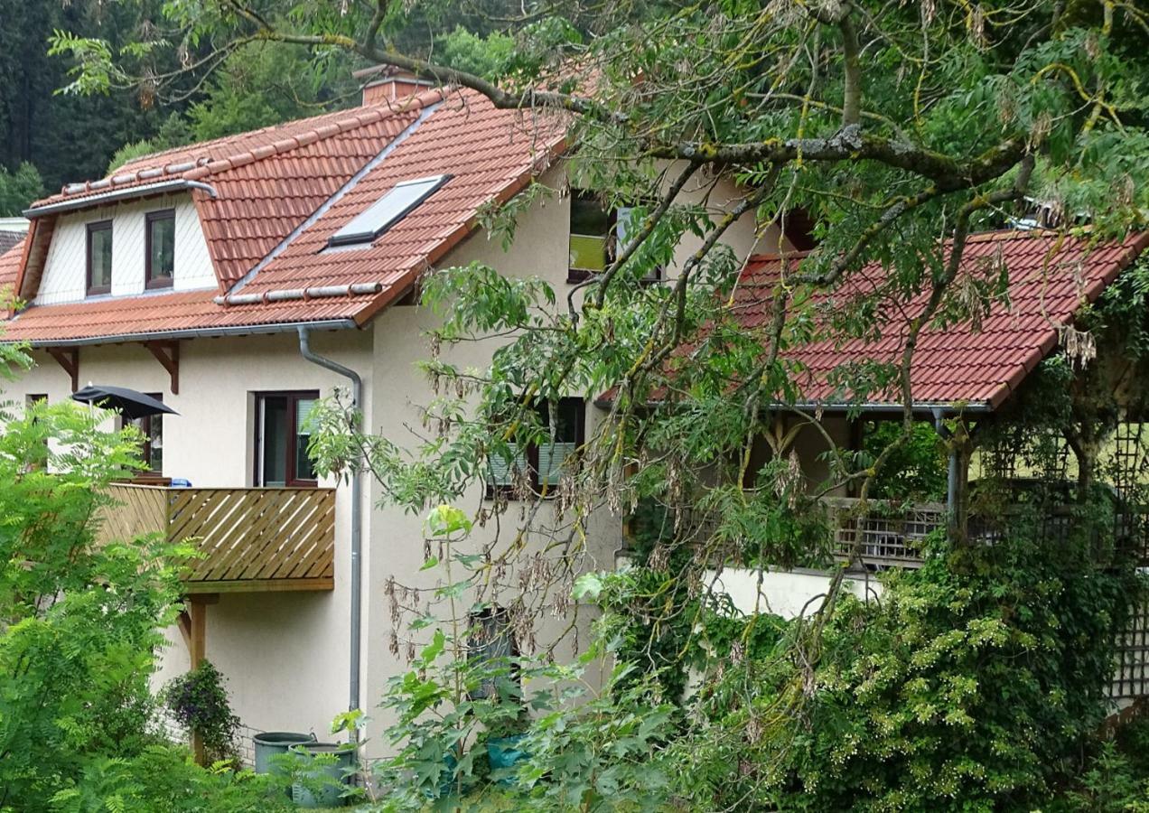 אילמנאו Ferienwohnung Am Berggrabenweg מראה חיצוני תמונה